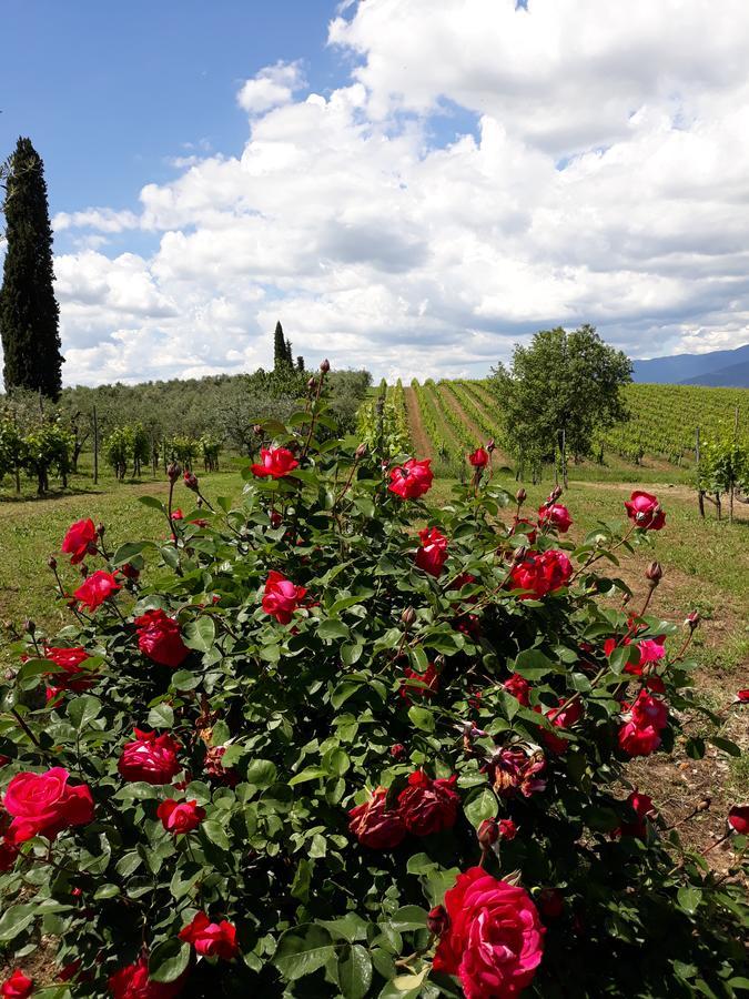 La Vecchia Quercia Villa Pergine Valdarno Exterior photo